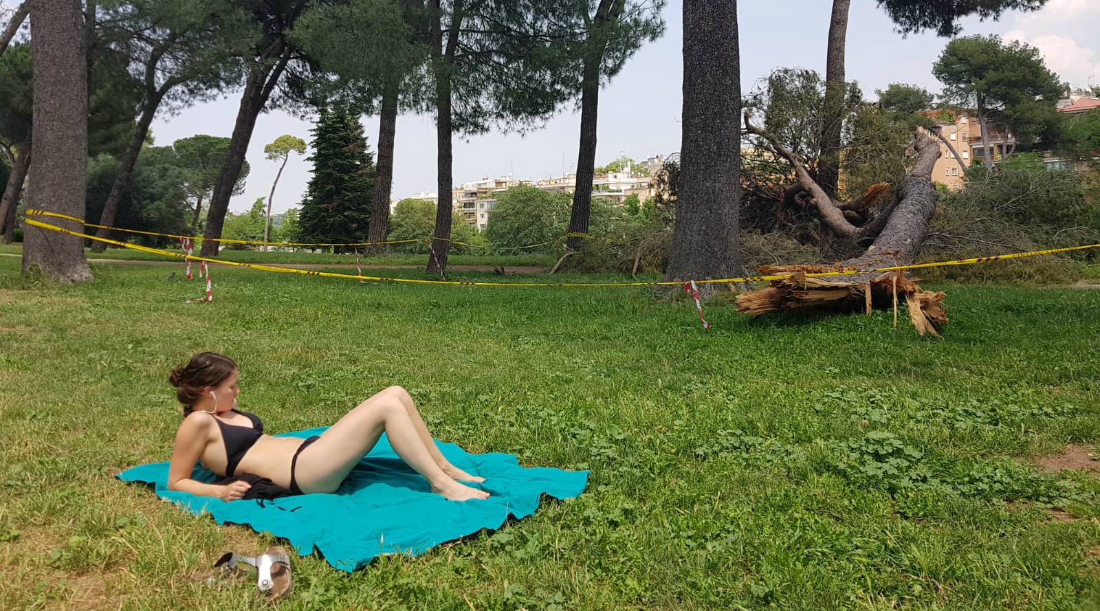 Vietata la tintarella al parco pubblico