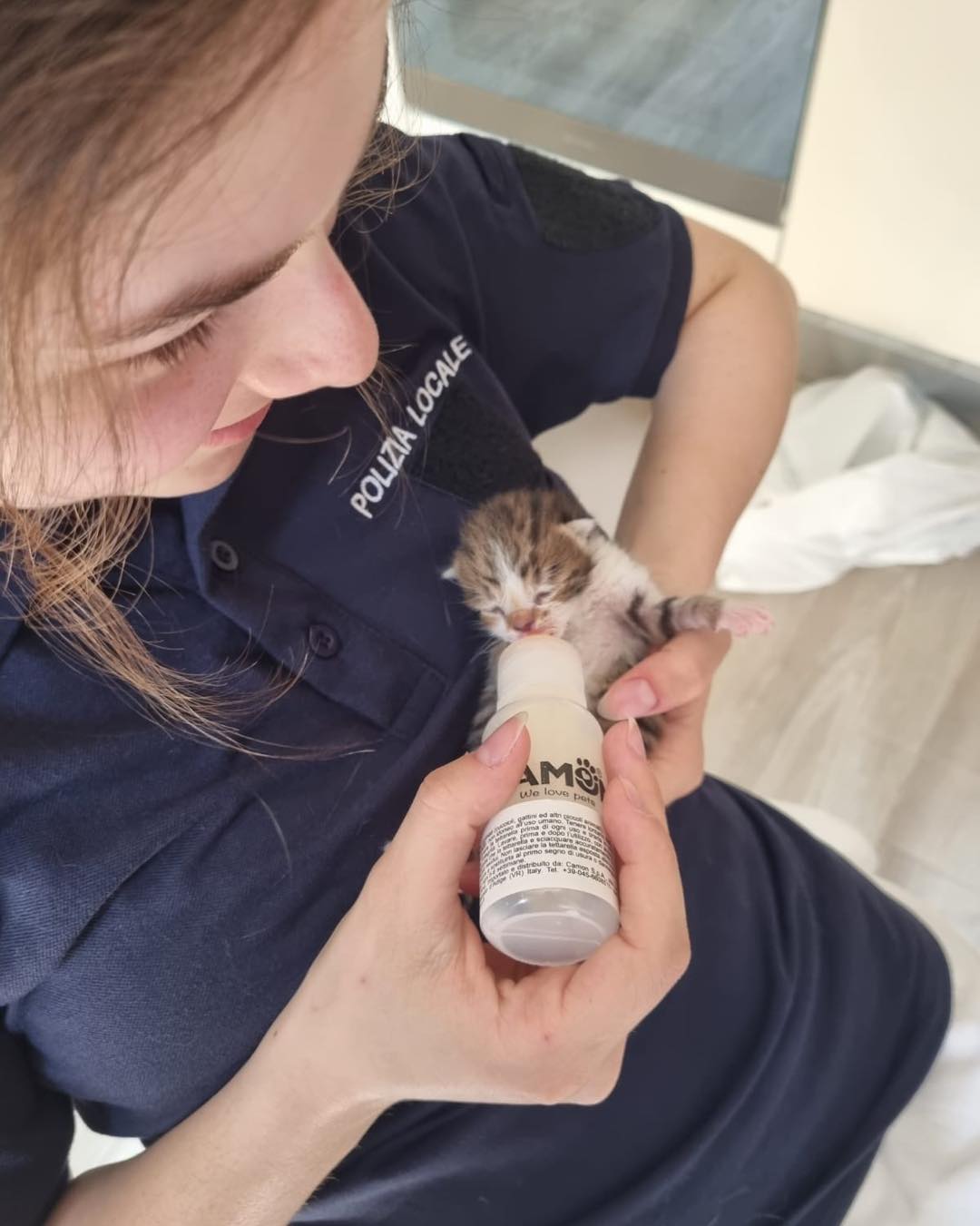 Abbandona tre gattini appena nati nel bidone della spazzatura