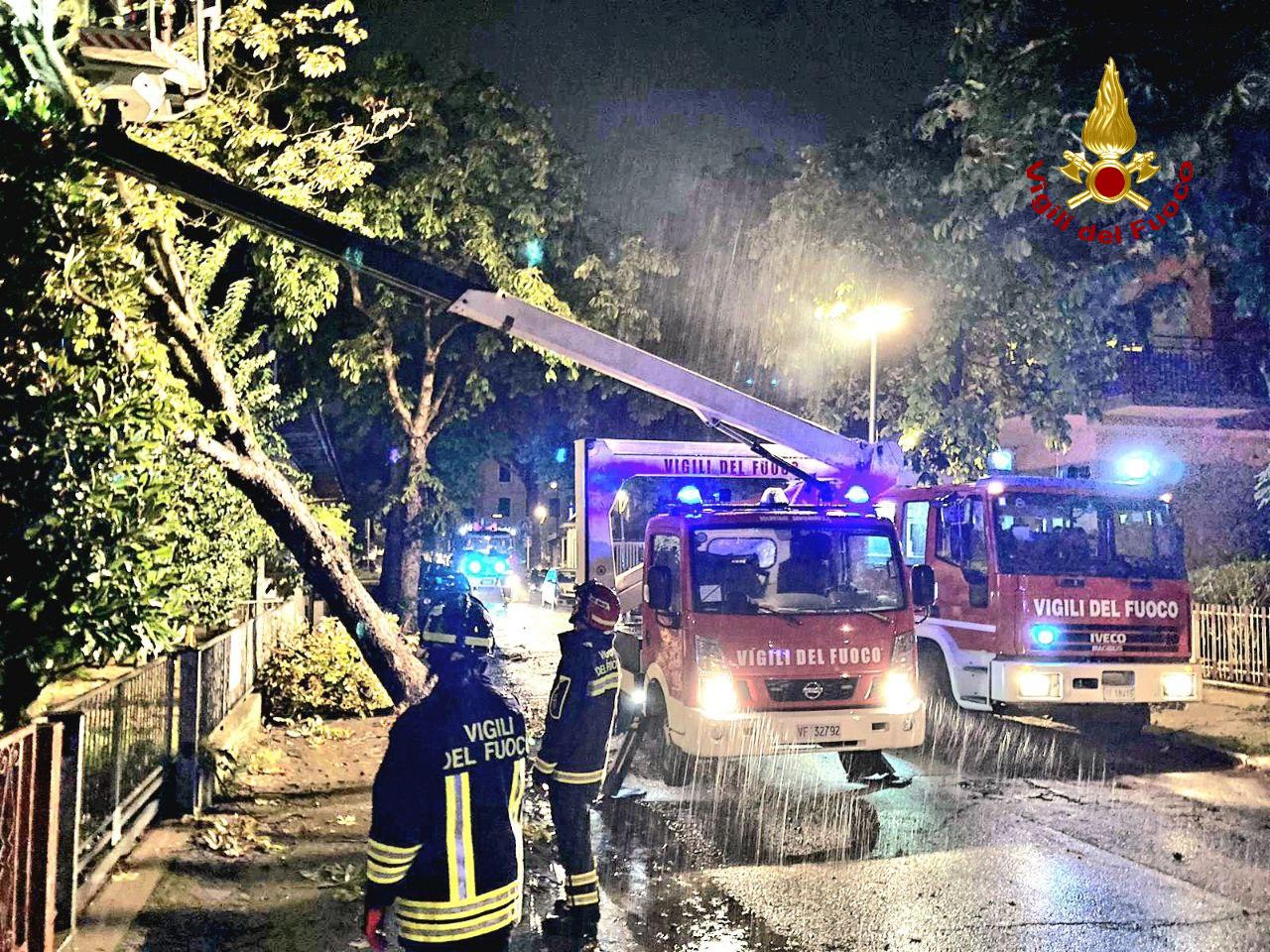 Maltempo, albero cade su una casa in viale della Repubblica